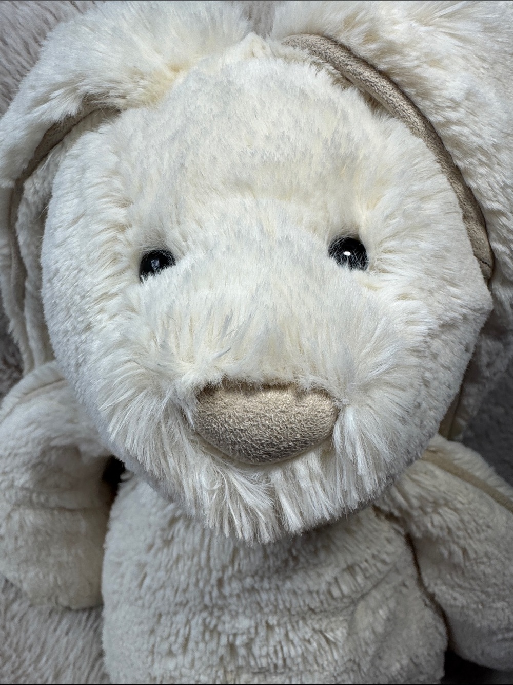Jellycat Bashful Cream Piper Bunny Rabbit Plush Stuffed Animal Medium - Picture 5 of 10